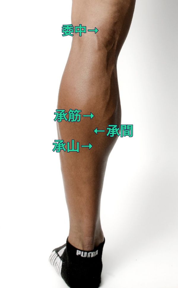 ふくらはぎのツボ